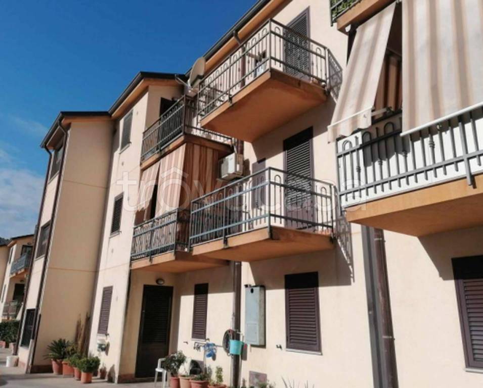 immagine annuncio 7 di 11