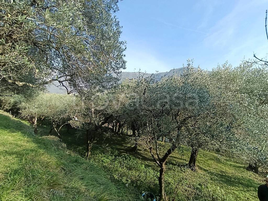 immagine annuncio 2 di 6