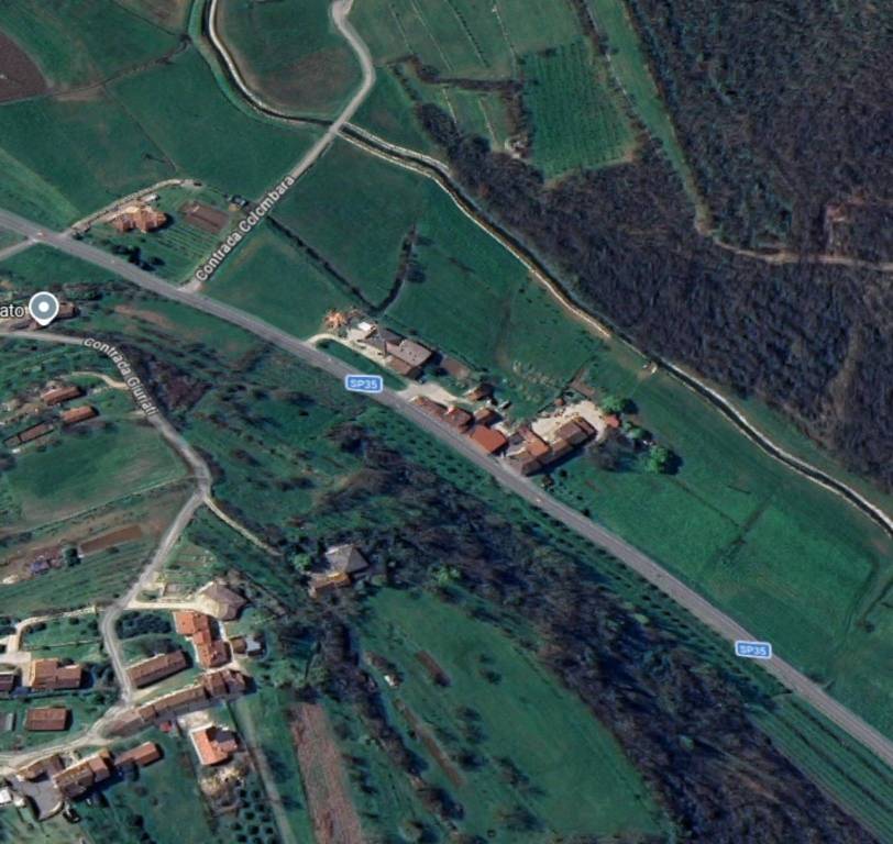 immagine annuncio 10 di 11