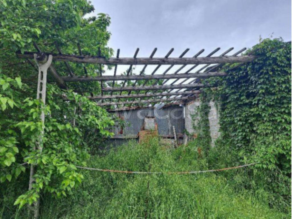 immagine annuncio 7 di 13