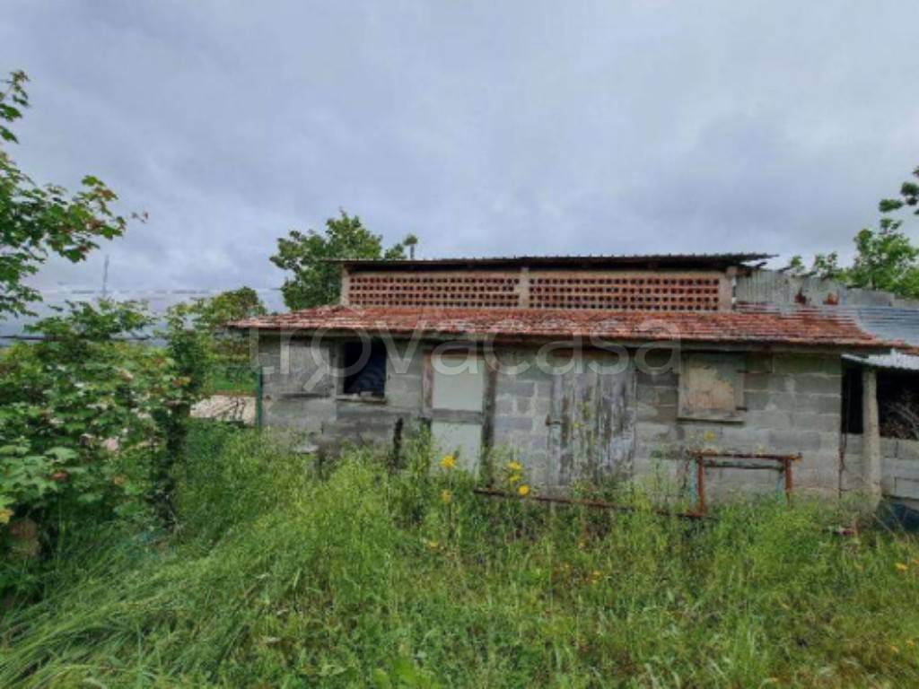 immagine annuncio 8 di 13