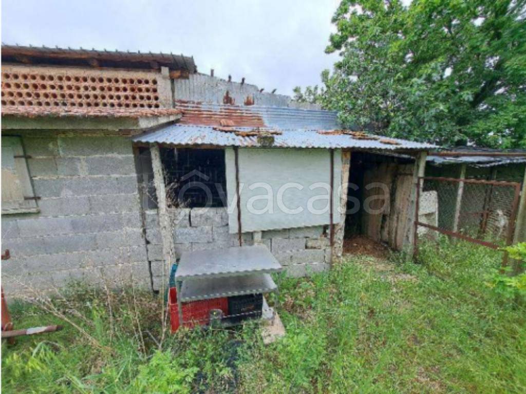 immagine annuncio 9 di 13