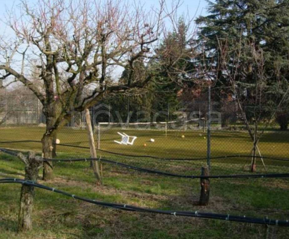 immagine annuncio 5 di 11