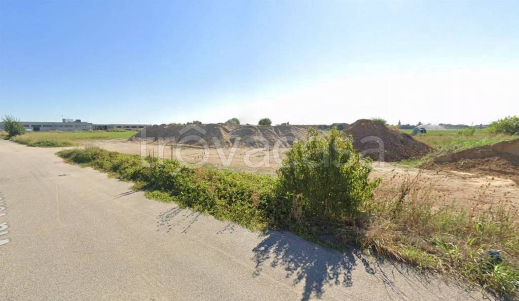 immagine annuncio 2 di 14