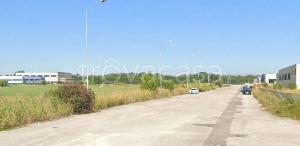 immagine annuncio 3 di 14