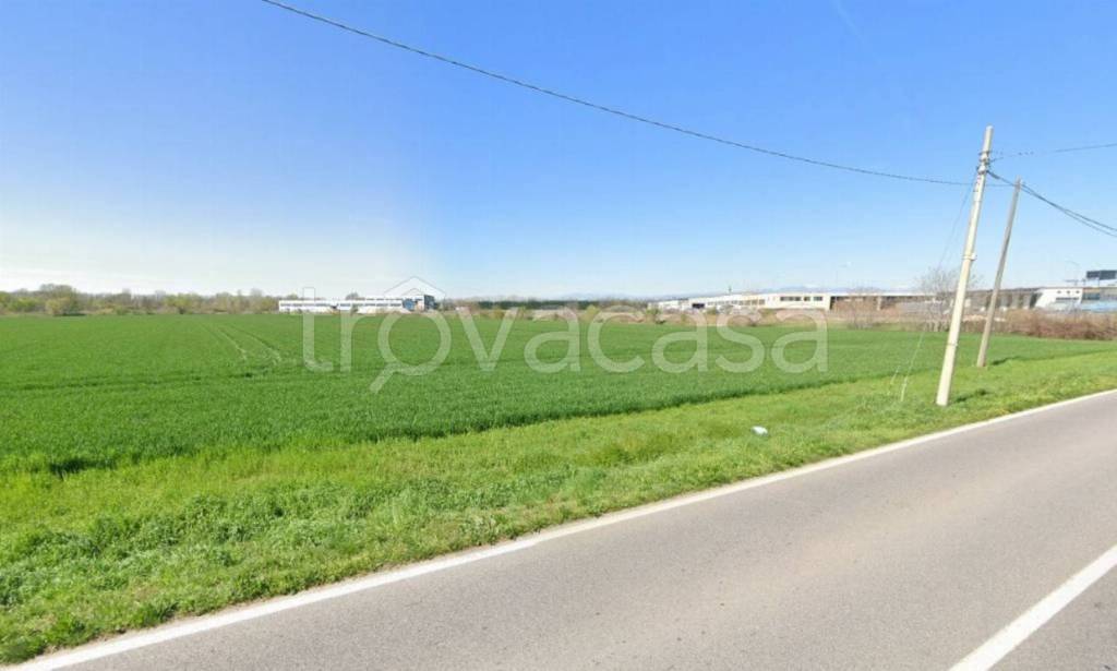 immagine annuncio 5 di 14