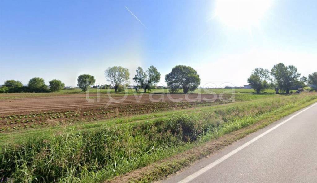 immagine annuncio 11 di 14