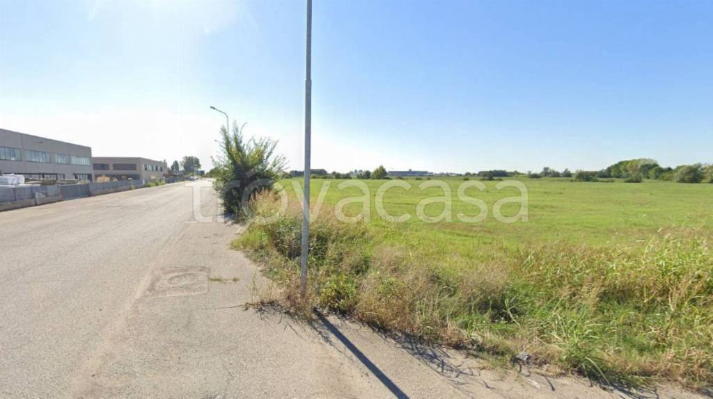 immagine annuncio 12 di 14