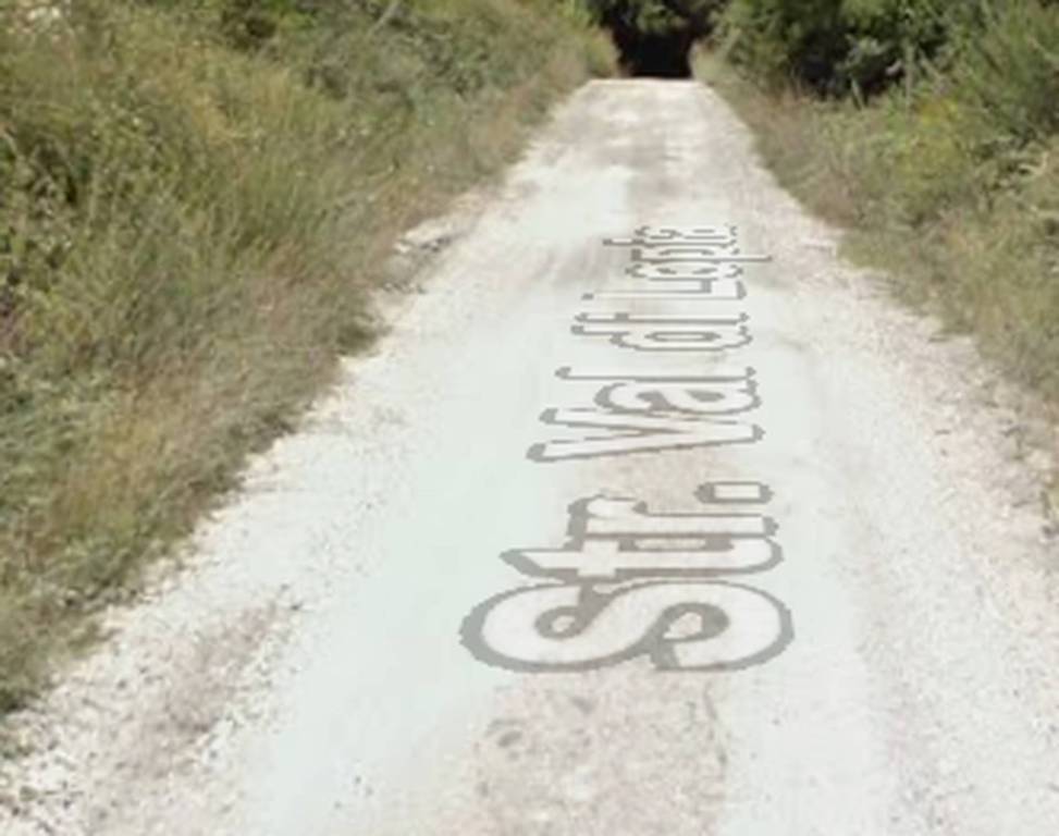 immagine annuncio 3 di 11