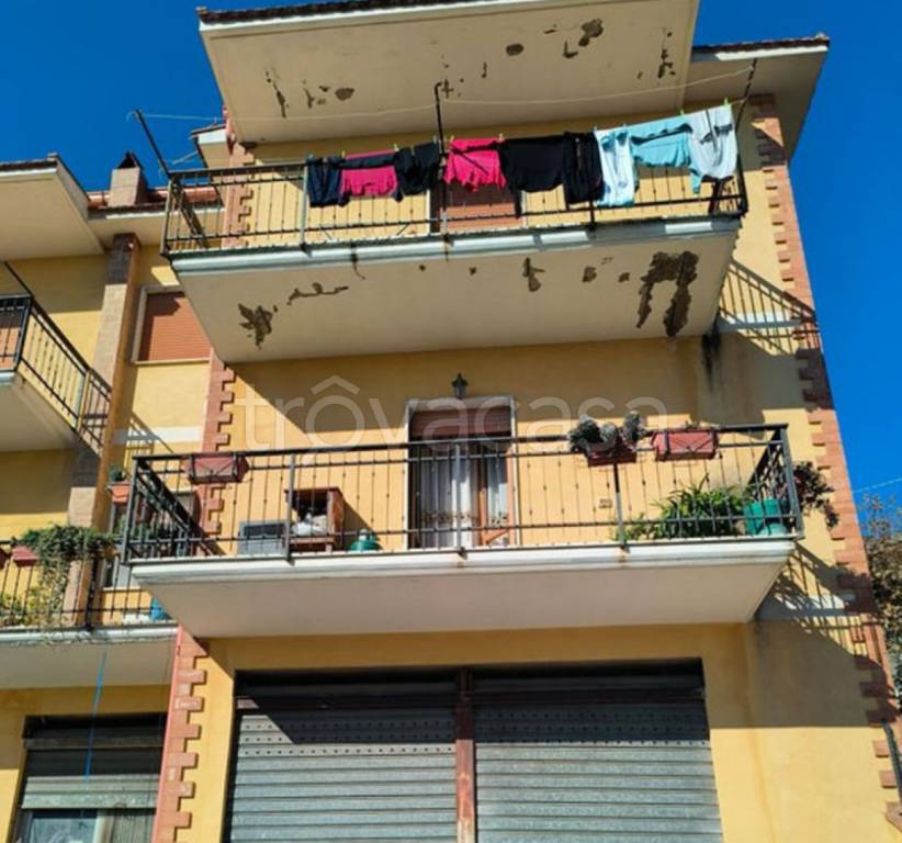 immagine annuncio 8 di 12