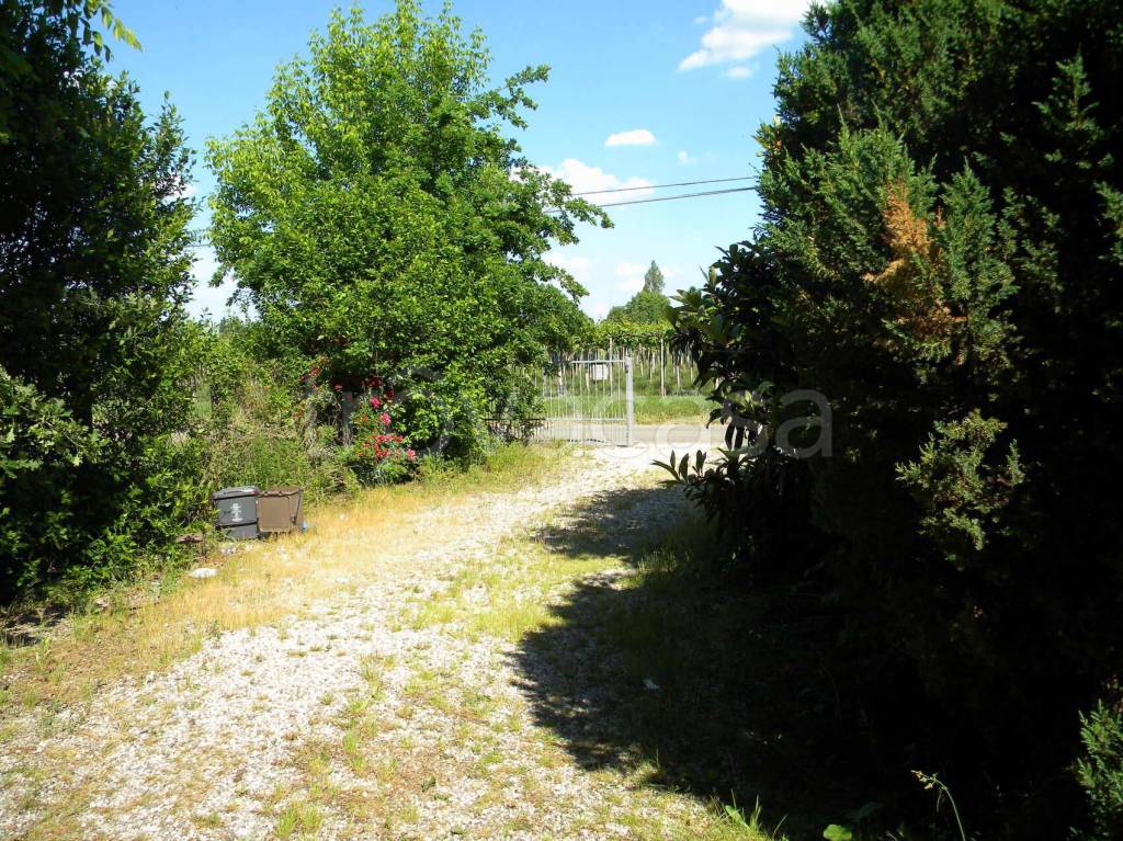 immagine annuncio 3 di 11