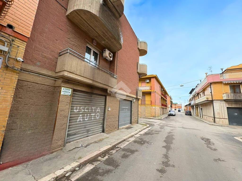 immagine annuncio 10 di 12