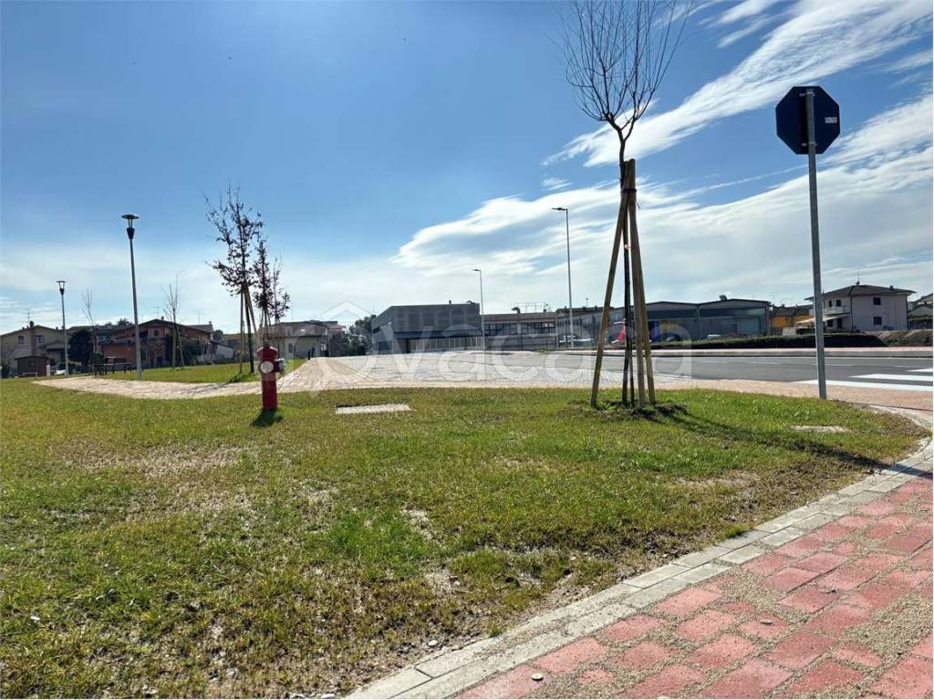 immagine annuncio 11 di 14