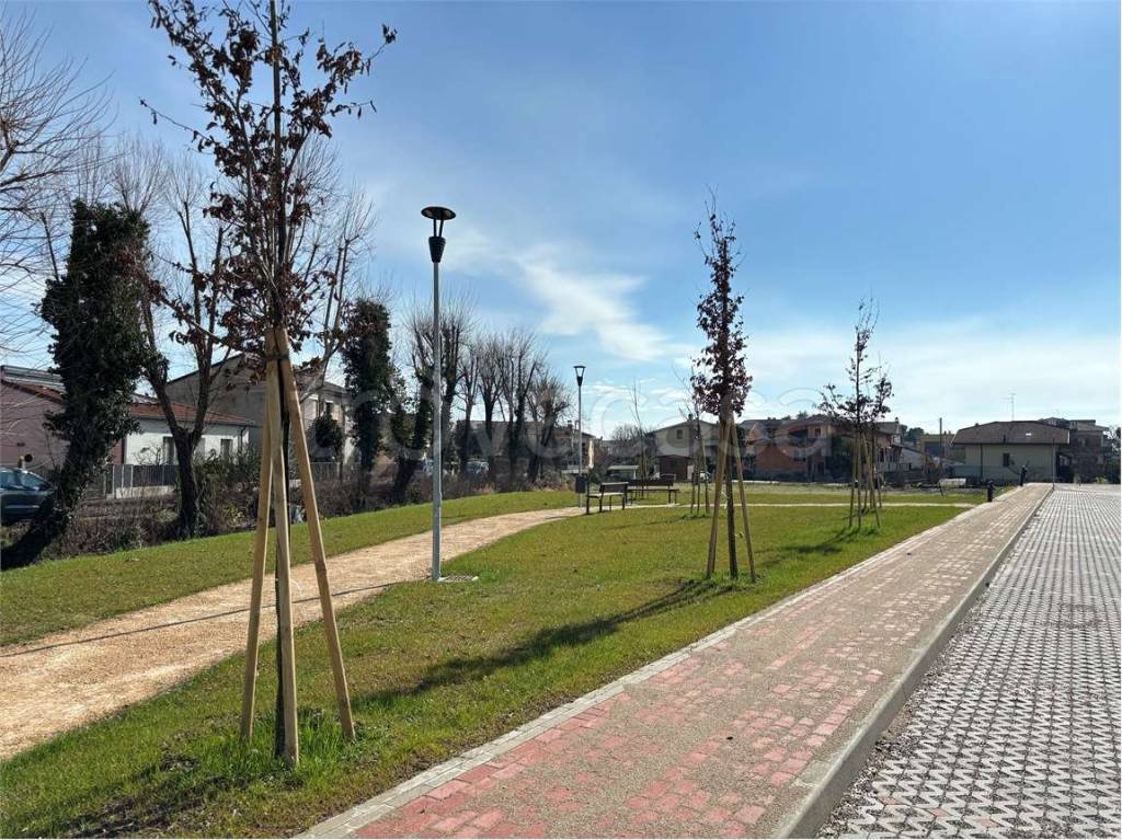 immagine annuncio 12 di 14