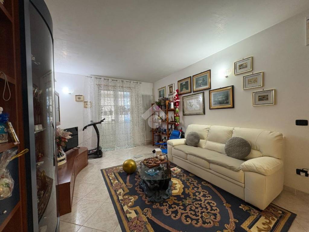 immagine annuncio 1 di 12