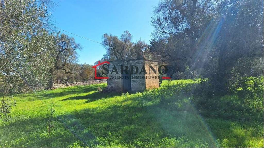 immagine annuncio 1 di 8