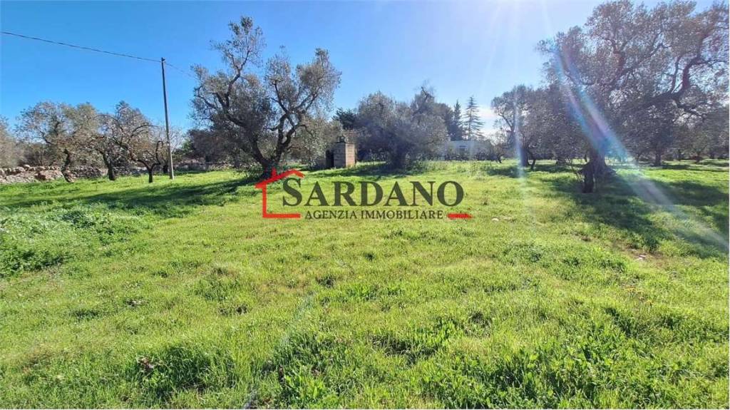 immagine annuncio 2 di 8