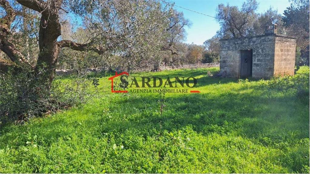 immagine annuncio 6 di 8