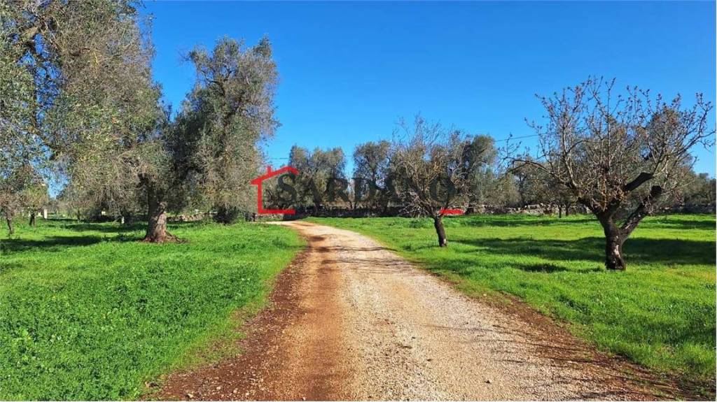 immagine annuncio 7 di 8