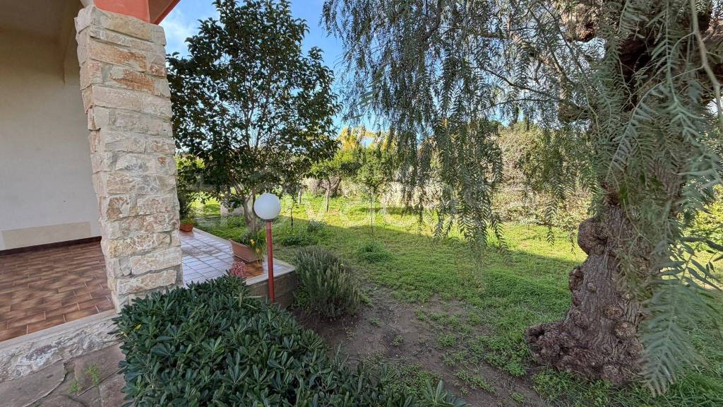 immagine annuncio 6 di 14