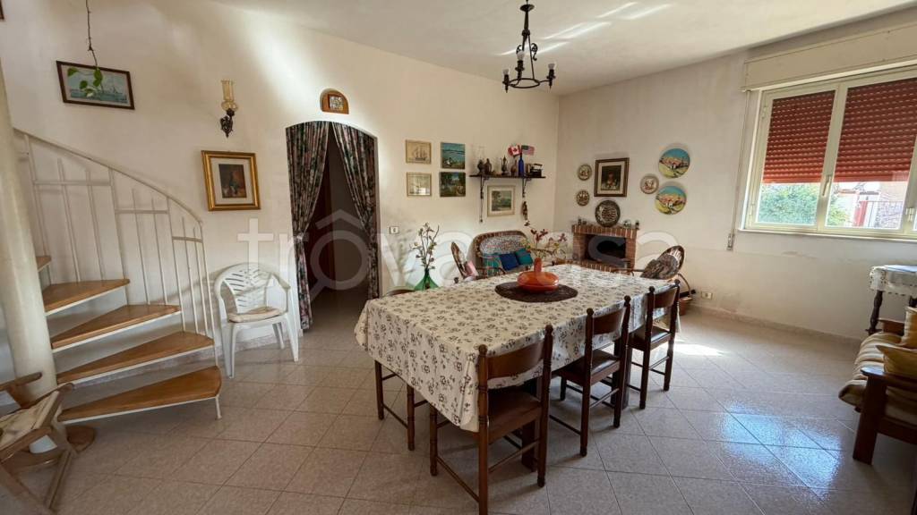 immagine annuncio 12 di 14