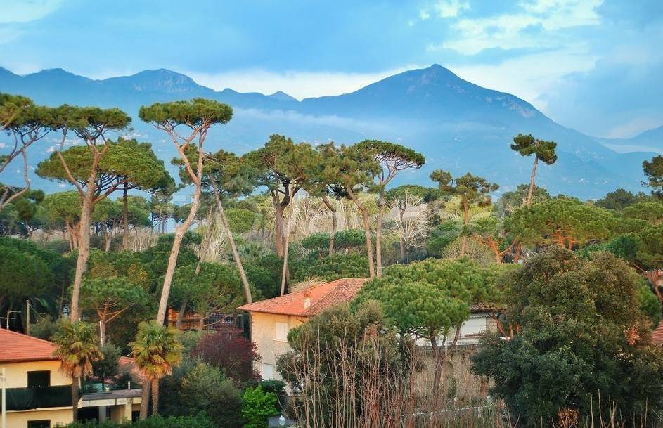 immagine annuncio 3 di 7