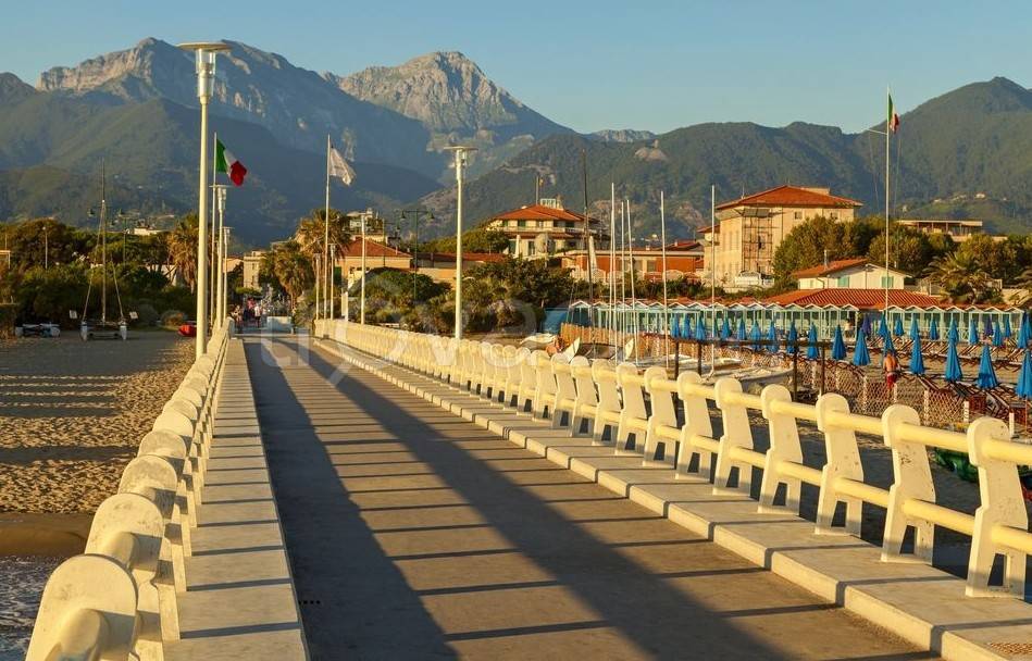 immagine annuncio 4 di 7