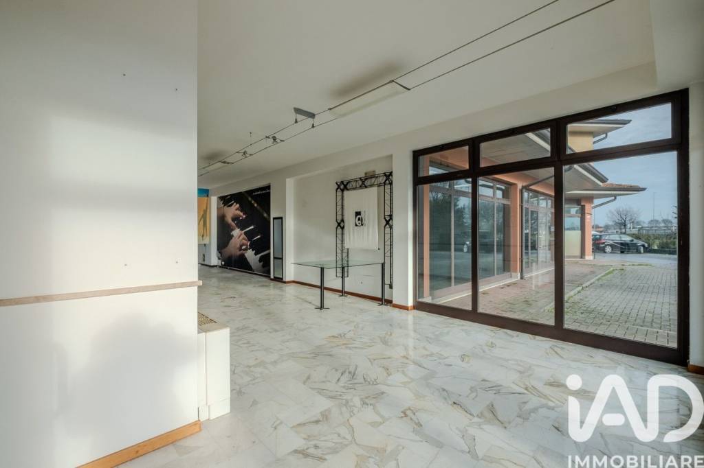 immagine annuncio 2 di 11