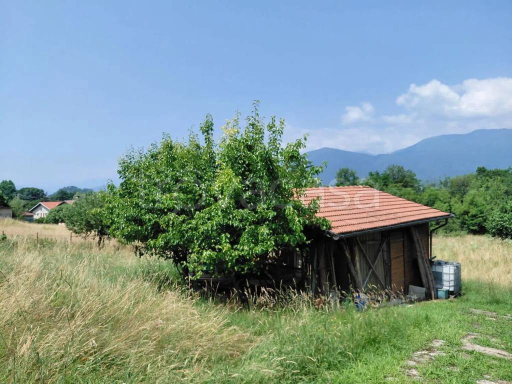 immagine annuncio 1 di 14