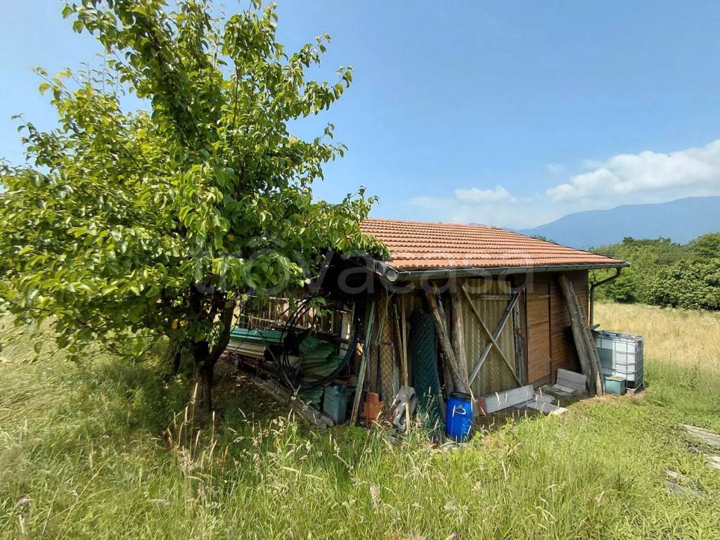 immagine annuncio 3 di 14