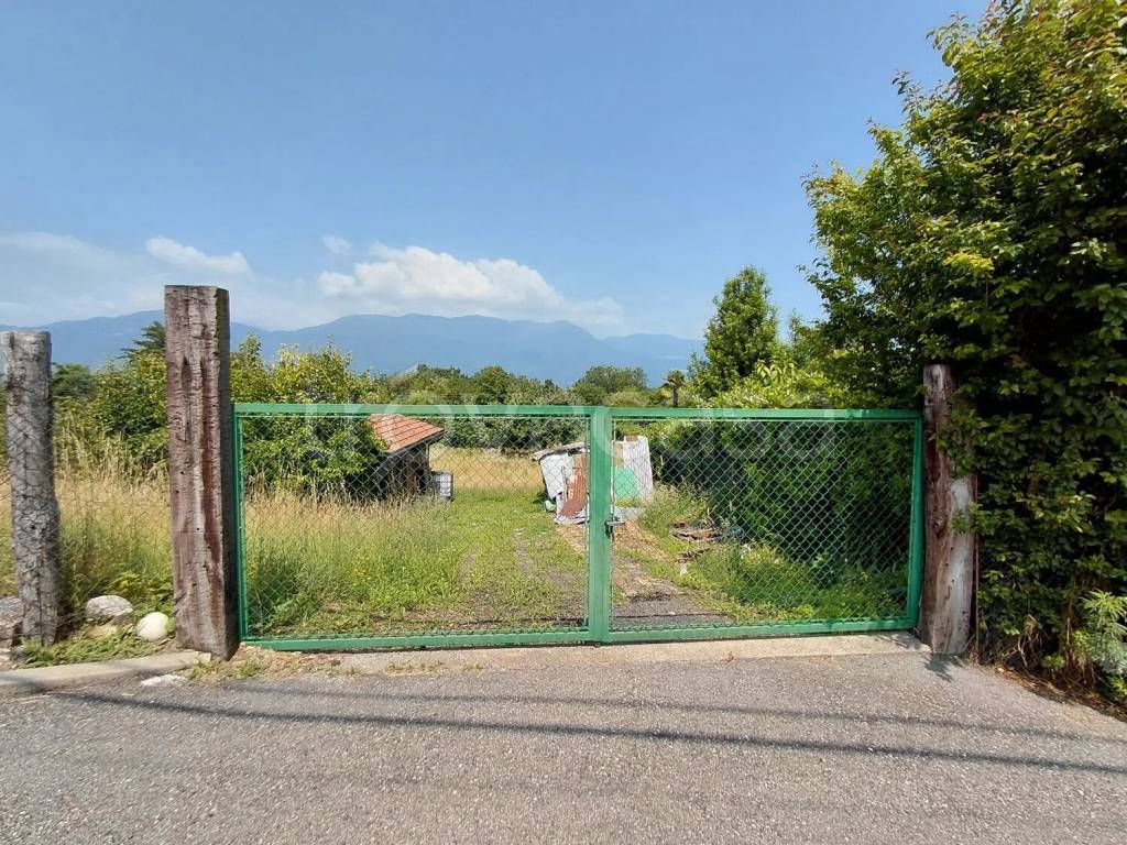 immagine annuncio 4 di 14