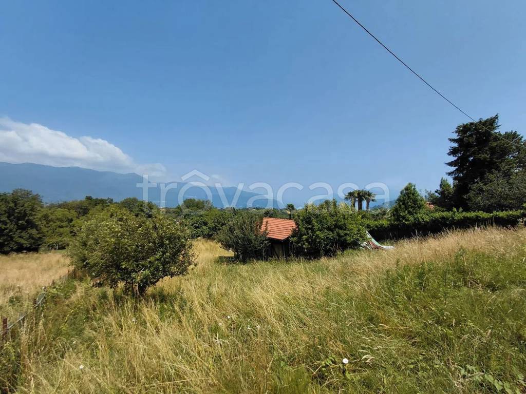 immagine annuncio 5 di 14