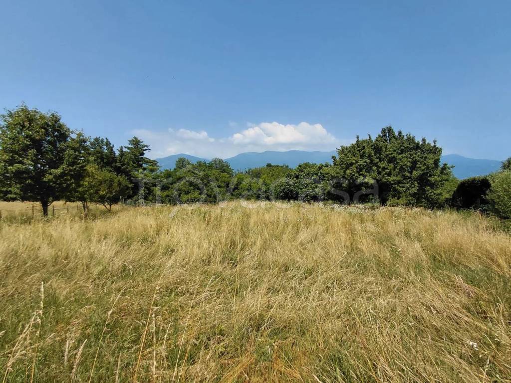 immagine annuncio 6 di 14