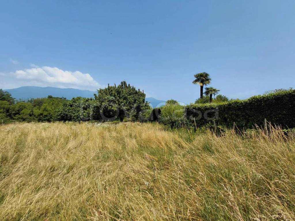 immagine annuncio 7 di 14