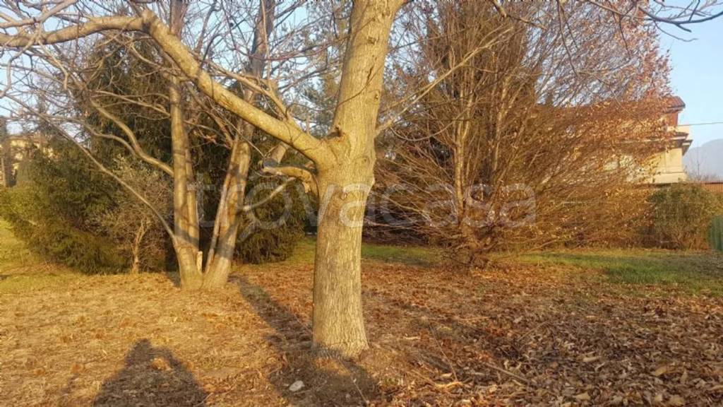 immagine annuncio 2 di 4