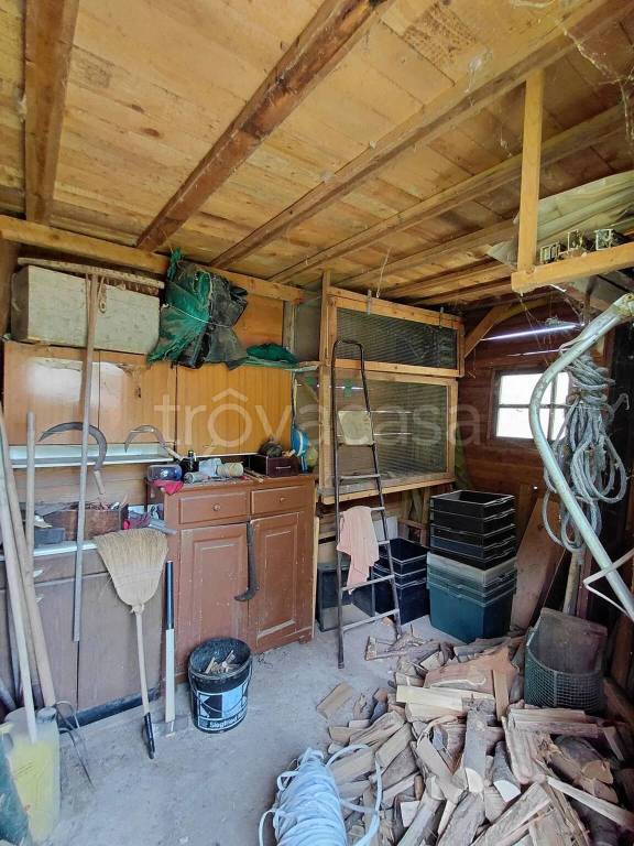 immagine annuncio 9 di 14