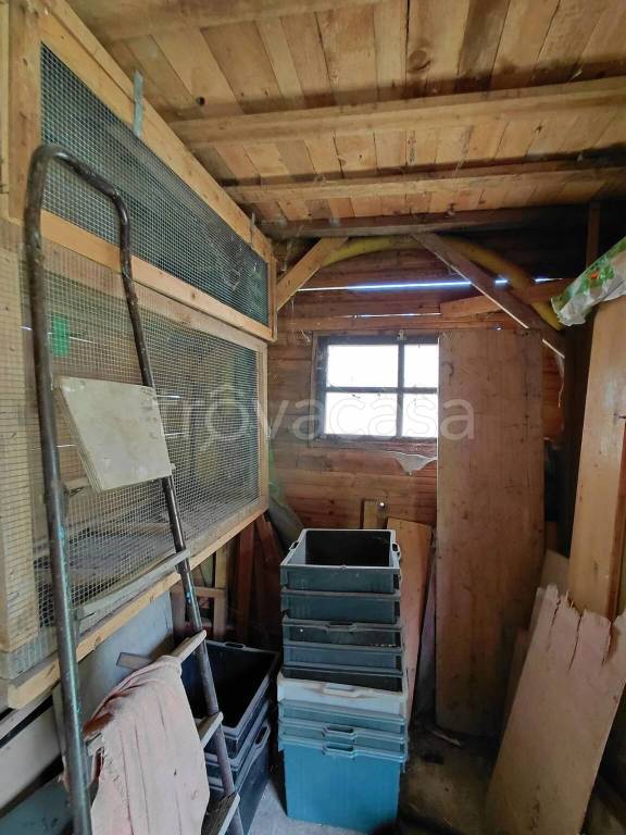 immagine annuncio 10 di 14