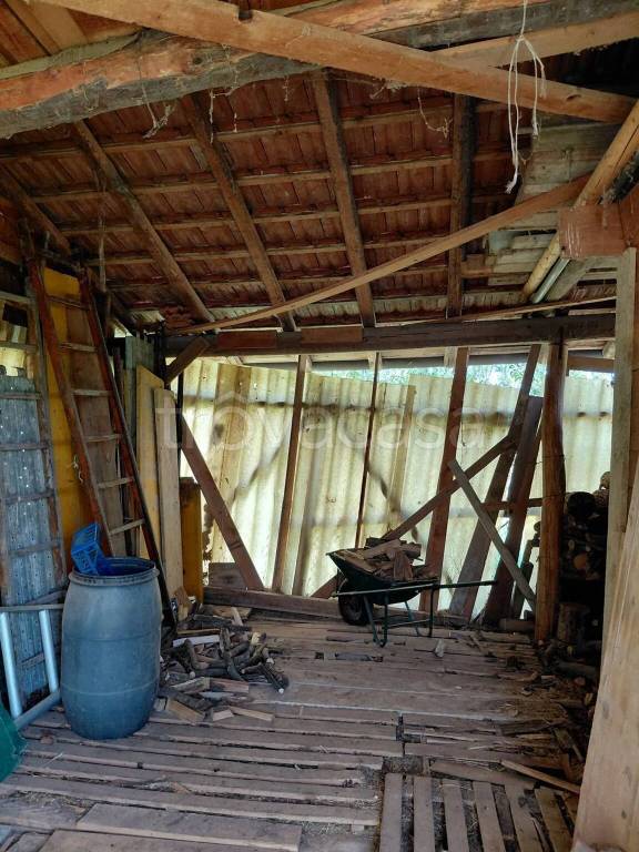 immagine annuncio 11 di 14