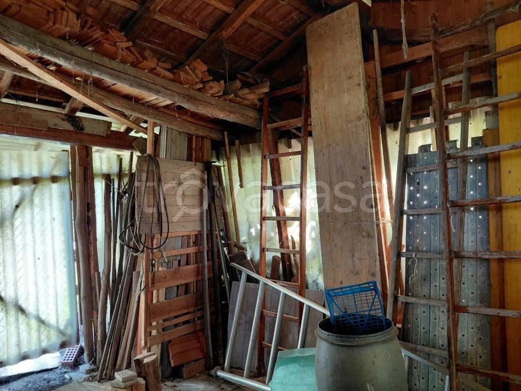 immagine annuncio 12 di 14