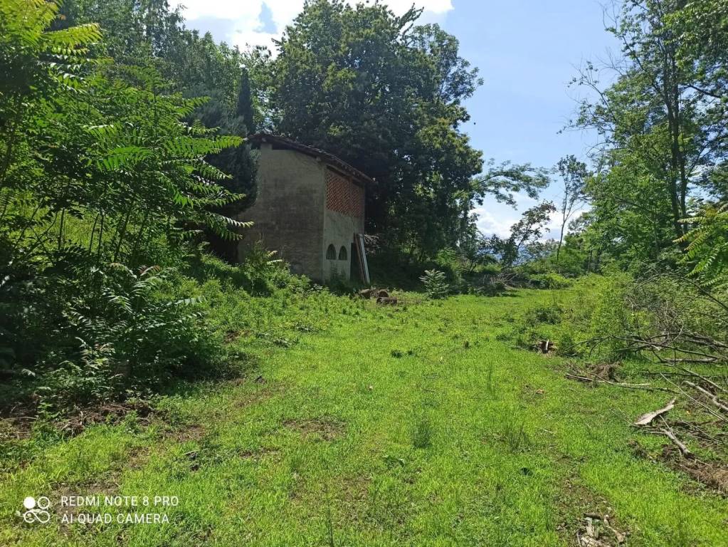 immagine annuncio 12 di 15