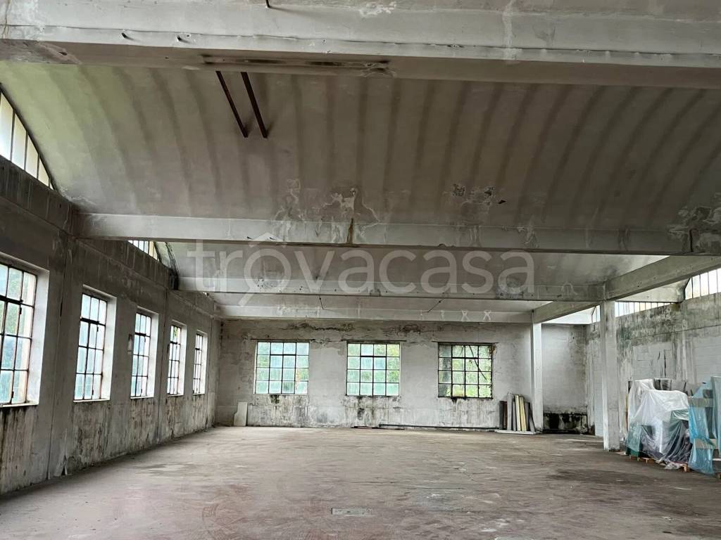 immagine annuncio 3 di 8