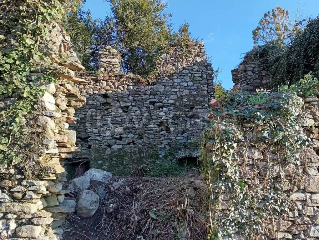 immagine annuncio 1 di 9