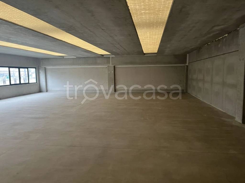 immagine annuncio 4 di 7