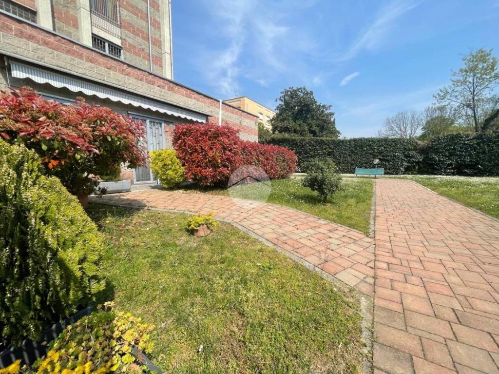 immagine annuncio 10 di 14