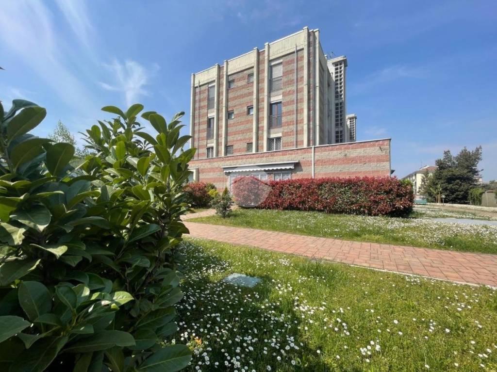 immagine annuncio 11 di 14