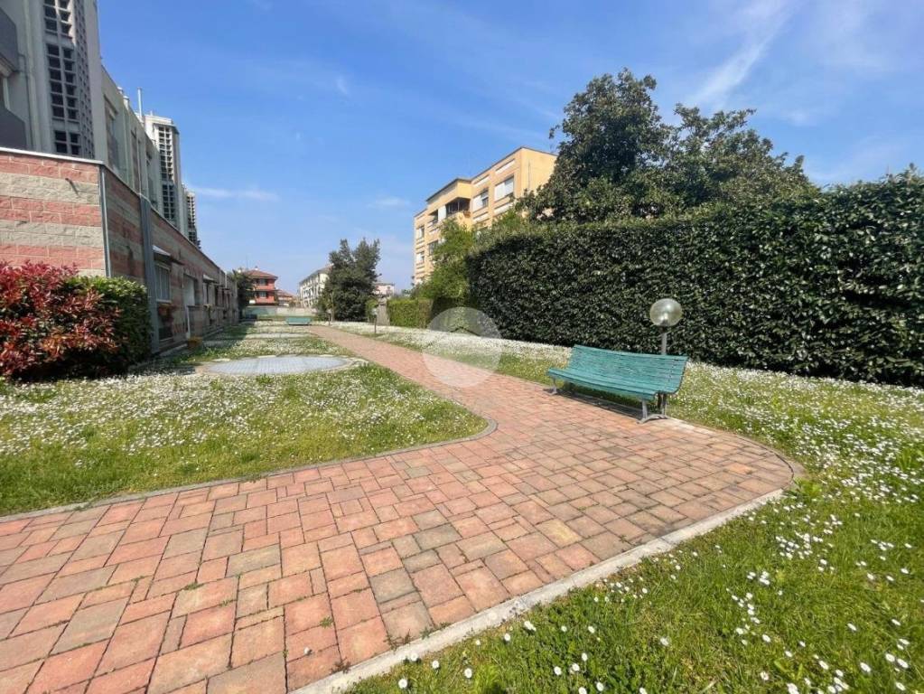 immagine annuncio 12 di 14