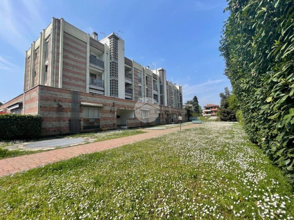 immagine annuncio 13 di 14