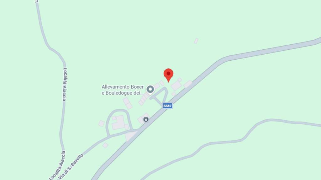 immagine annuncio 7 di 10