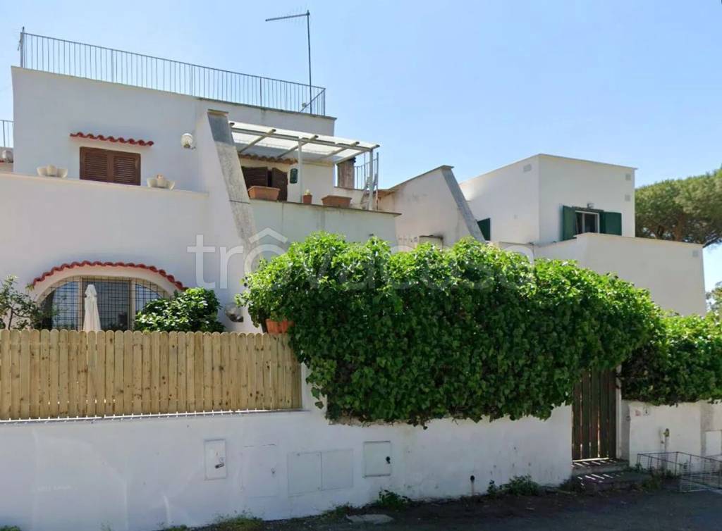 immagine annuncio 1 di 4