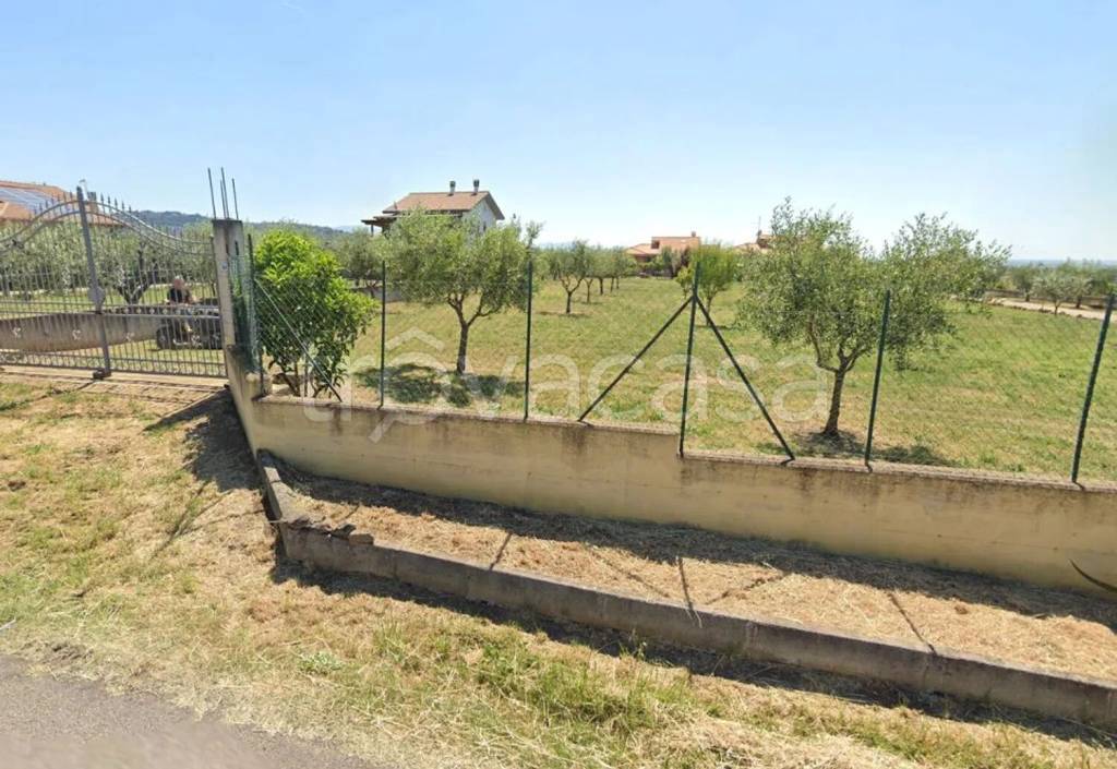 immagine annuncio 2 di 4